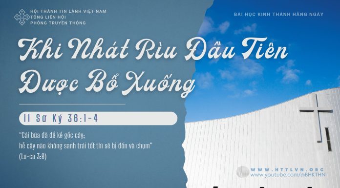 Khi Nhát Rìu Đầu Tiên Được Bổ Xuống – 27/1/2026