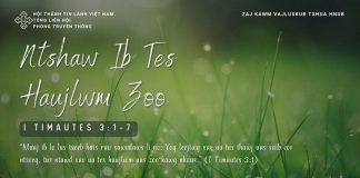 Ntshaw Ib Tes Haujlwm Zoo – 29/1/2026