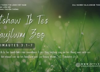 Ntshaw Ib Tes Haujlwm Zoo – 29/1/2026