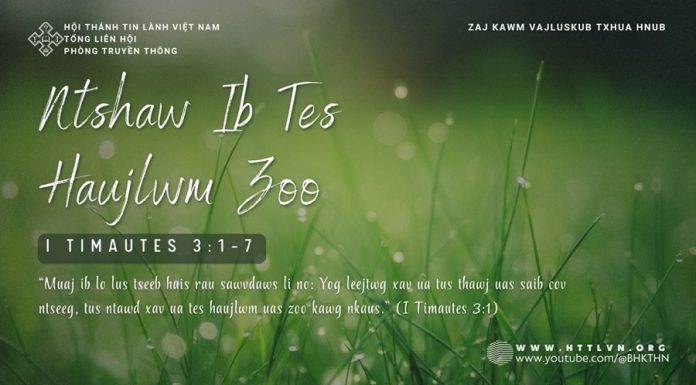 Ntshaw Ib Tes Haujlwm Zoo – 29/1/2026