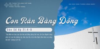 Con Rắn Bằng Đồng – 4/1/2026