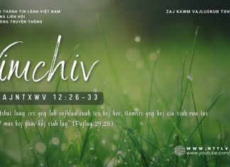 Vimchiv – 9/1/2026