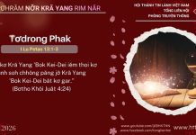 Tơdrong Phak – 10/1/2026