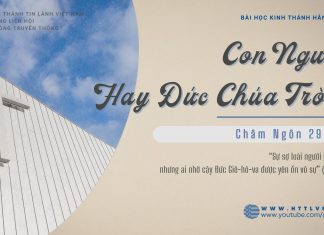 Con Người Hay Đức Chúa Trời? – 10/2/2026