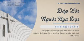 Đáp Lời Người Ngu Dại – 15/2/2026