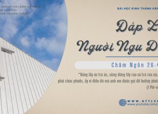 Đáp Lời Người Ngu Dại – 15/2/2026