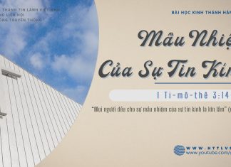 Mầu Nhiệm Của Sự Tin Kính – 20/2/2026