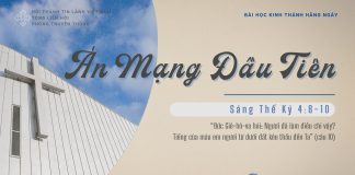 Án Mạng Đầu Tiên – 24/2/2026