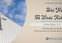 Bài Học Từ Loài Kiến – 3/2/2026