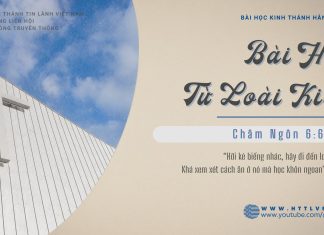 Bài Học Từ Loài Kiến – 3/2/2026