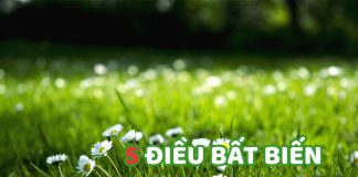 5 ĐIỀU BẤT BIẾN TRONG NĂM MỚI