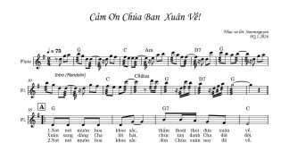 Bài hát Xuân: CẢM ƠN CHÚA BAN XUÂN VỀ