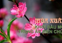 MÙA XUÂN – KHỞI ĐẦU MỚI TRONG ÂN ĐIỂN CHÚA