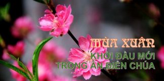 MÙA XUÂN – KHỞI ĐẦU MỚI TRONG ÂN ĐIỂN CHÚA