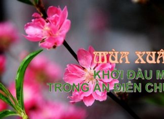 MÙA XUÂN – KHỞI ĐẦU MỚI TRONG ÂN ĐIỂN CHÚA