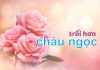 Bài hát: TRỔI HƠN CHÂU NGỌC