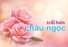 Bài hát: TRỔI HƠN CHÂU NGỌC