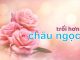 Bài hát: TRỔI HƠN CHÂU NGỌC