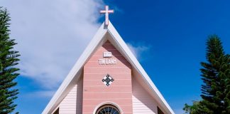 Lâm Đồng: Trại Xuân Thanh niên Khu vực I – Đánh thức Khát vọng Dấn thân