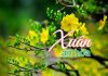 Bài hát: Xuân An Hòa