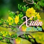 xun an hoa