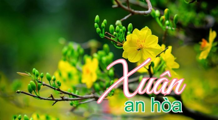 Bài hát: Xuân An Hòa