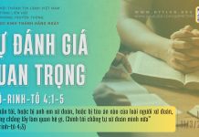 Sự Đánh Giá Quan Trọng – 11/3/2026