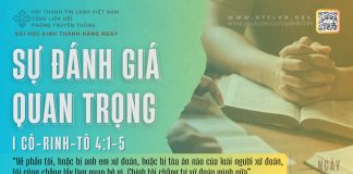Sự Đánh Giá Quan Trọng – 11/3/2026