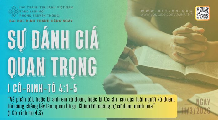 Sự Đánh Giá Quan Trọng – 11/3/2026
