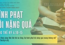 Hình Phạt Tôi Nặng Quá – 12/3/2026