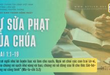 Sự Sửa Phạt Của Chúa – 2/3/2026