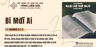 Bi Mđĭ Ai – 31/3/2026