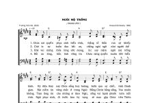 Bài hát: NGÔI MỘ TRỐNG