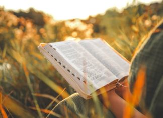 NGƯỜI NỮ TIN KÍNH CHÚA GIỮA THỜI 4.0