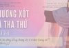 Thương Xót và Tha Thứ – 12/4/2026