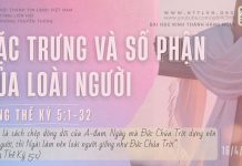 Đặc Trưng và Số Phận Của Loài Người – 16/4/2026