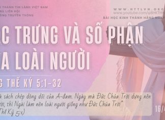 Đặc Trưng và Số Phận Của Loài Người – 16/4/2026