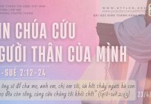 Xin Chúa Cứu Người Thân Của Mình – 23/4/2026