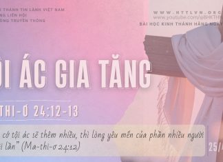 Tội Ác Gia Tăng – 25/4/2026