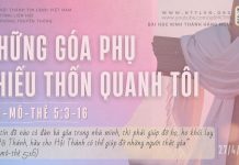Những Góa Phụ Thiếu Thốn Quanh Tôi – 27/4/2026