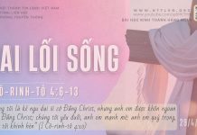 Hai Lối Sống – 29/4/2026