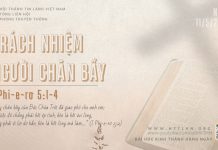 Trách Nhiệm Người Chăn Bầy – 11/5/2026