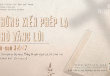 Chứng Kiến Phép Lạ Nhờ Vâng Lời – 16/5/2026