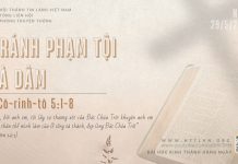 Tránh Phạm Tội Tà Dâm – 29/5/2026