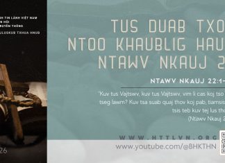 Tus Duab Txog Ntoo Khaublig Hauv Ntawv Nkauj 22 – 7/5/2026