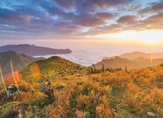 Bài hát: Đi Giữa Trời Sớm Mai