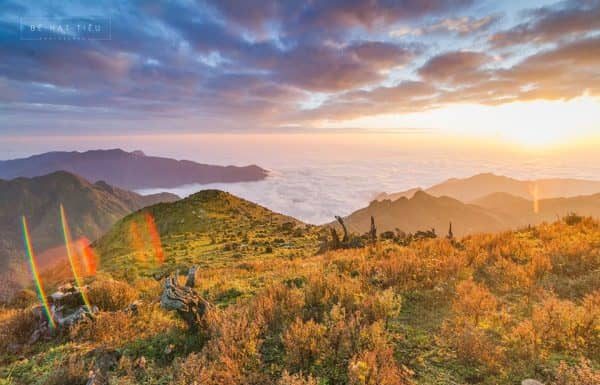 Bài hát: Đi Giữa Trời Sớm Mai