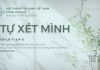 Tự Xét Mình – 10/6/2026