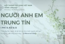 Người Anh Em Trung Tín – 16/6/2026