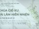 Chúa Giê-xu Tái Lâm Hiển Nhiên – 25/6/2026